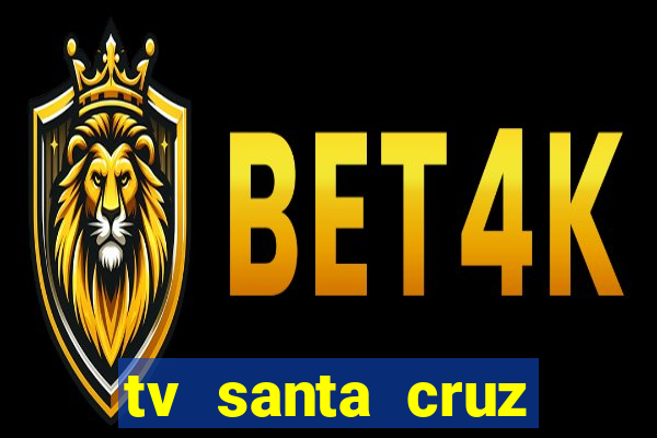 tv santa cruz bahia meio dia ao vivo